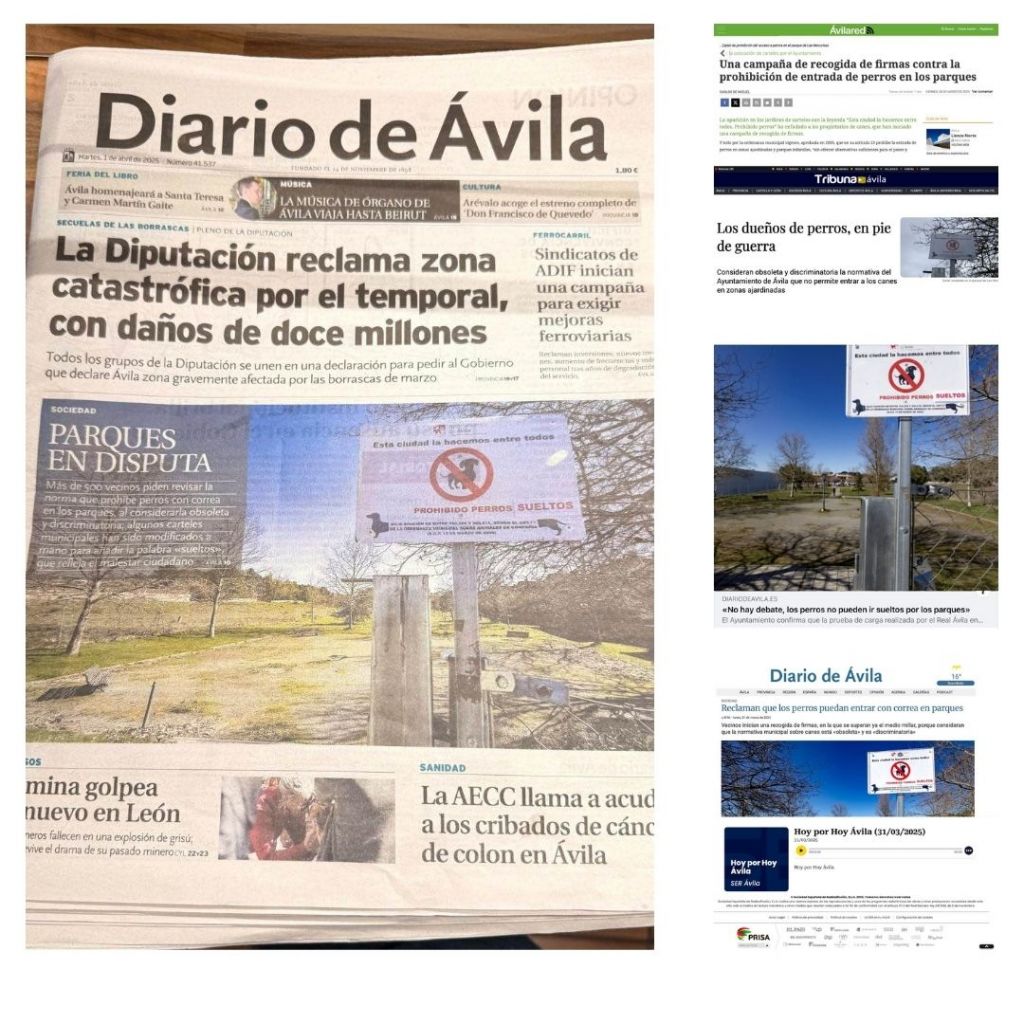 Diseño sin título (10)